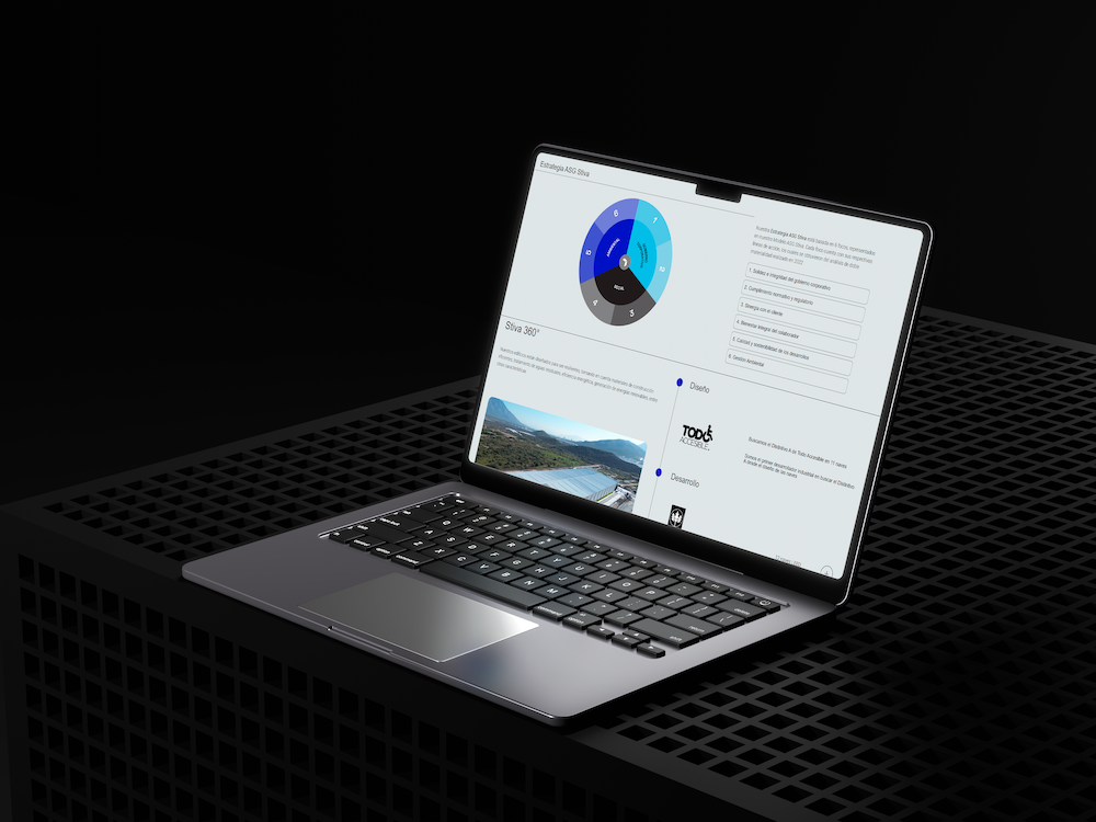 Grupo Stiva — caso de estudio Mimic