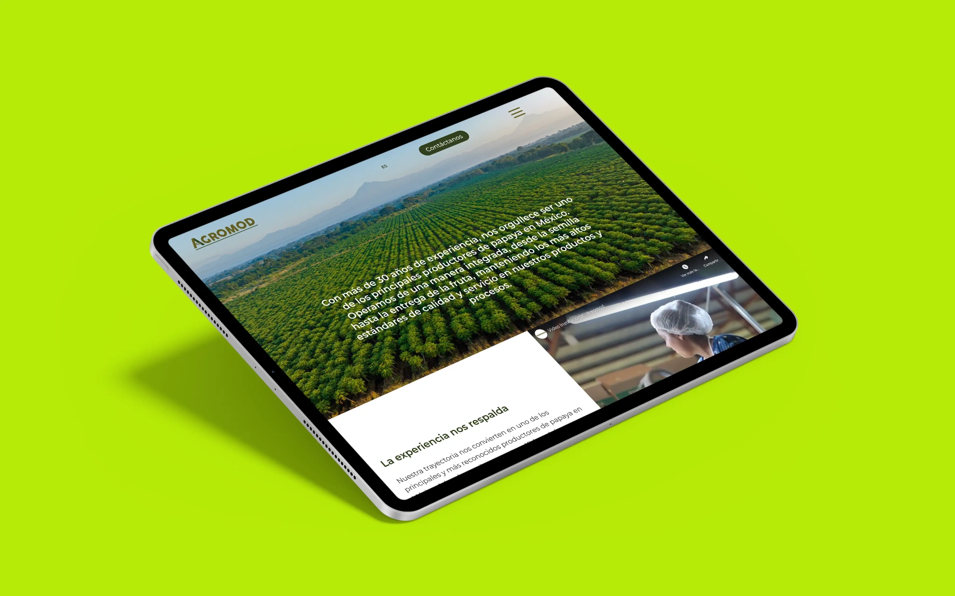 Agromod — caso de estudio Mimic
